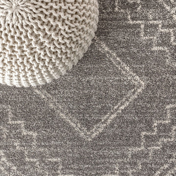 Amir Moroccan Beni Souk Area Rug